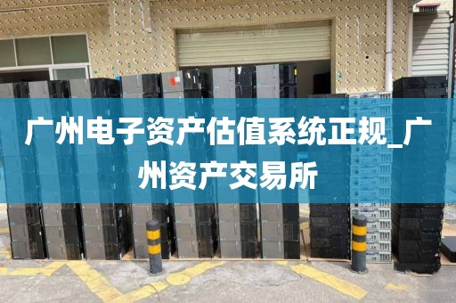 广州电子资产估值系统正规_广州资产交易所